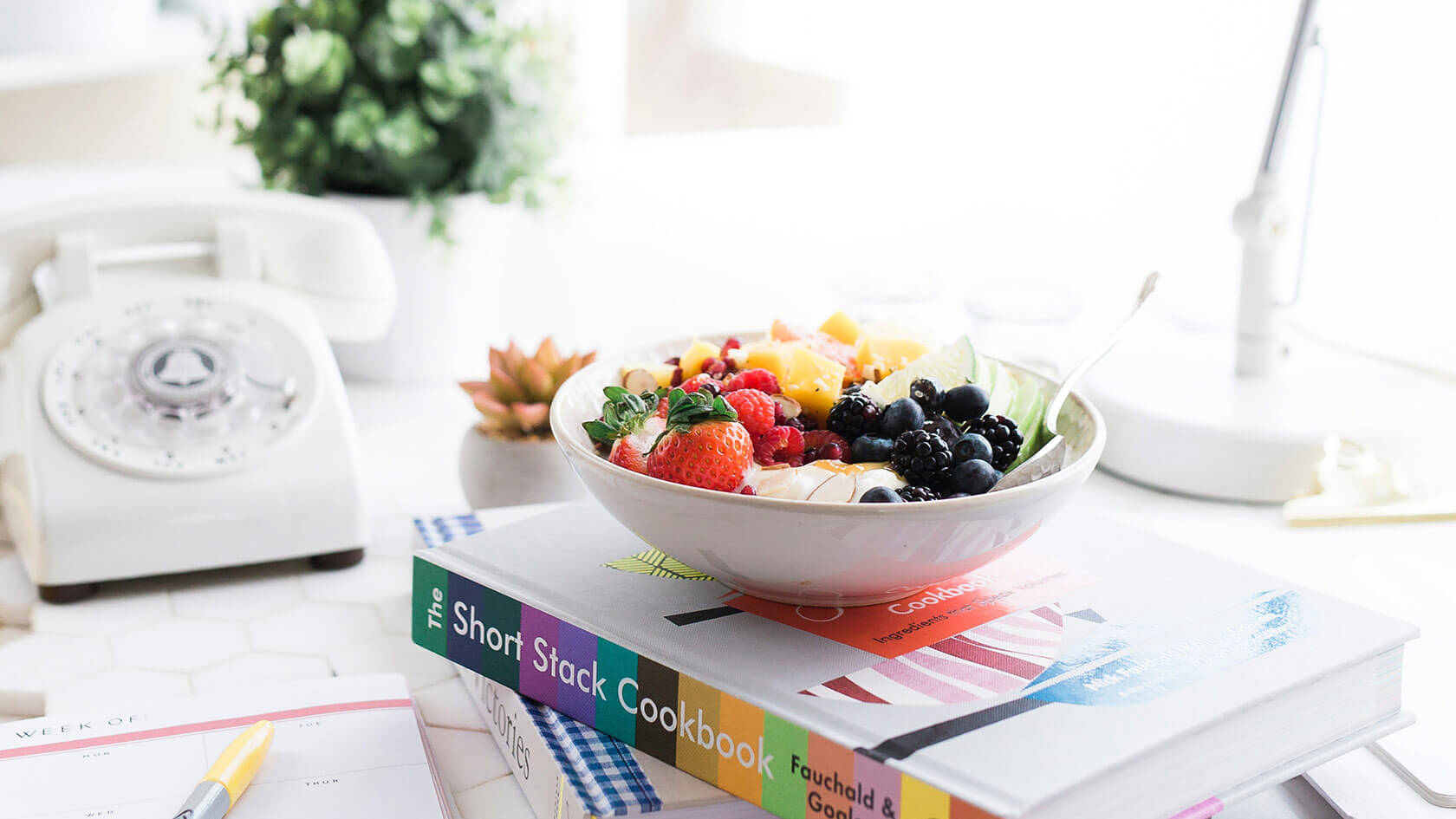 Like Mushroom recioe? We’re Gonna Take You to Funghitown